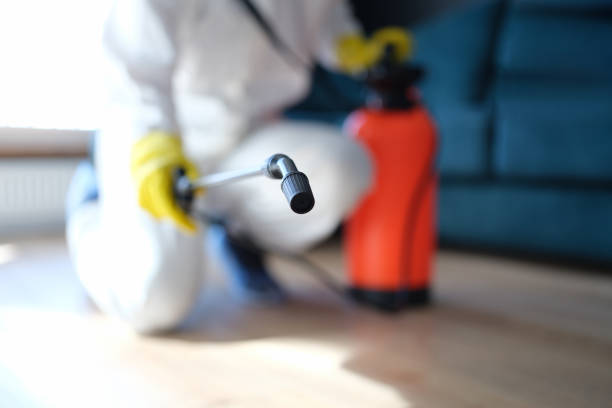 Best Airborne Mold Testing  in Myrtletown, CA