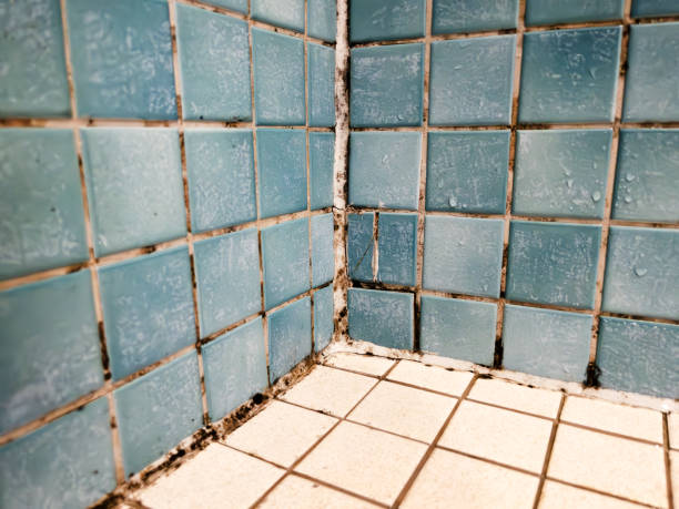 Best Water Damage & Mold Remediation  in Myrtletown, CA