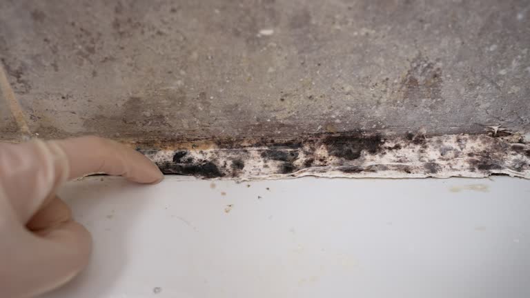 Best Post-Remediation Verification Testing  in Myrtletown, CA